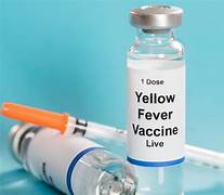 Yellow Fever Vaccination In Amravati