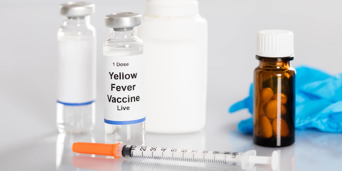 Yellow Fever Vaccination In Chandrapur